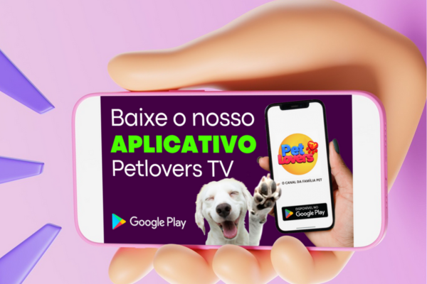 CLIQUE AQUI - ASSISTA A TV NO SEU CELULAR